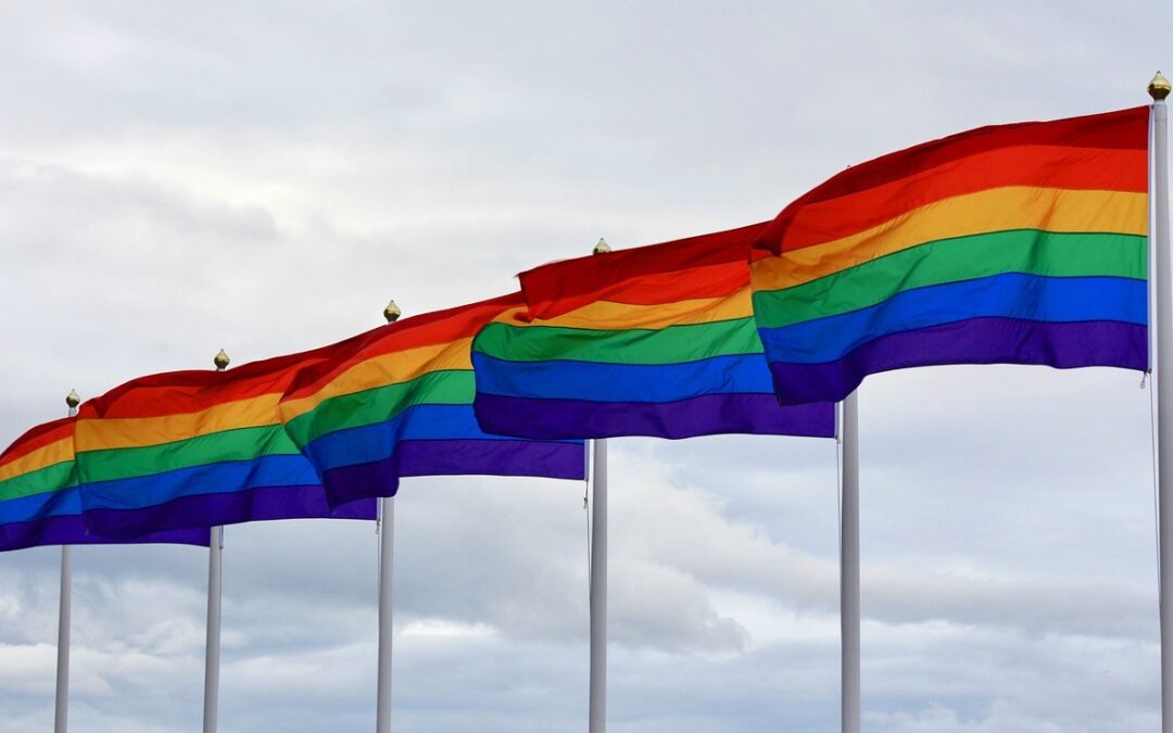 Regenbogenflaggen