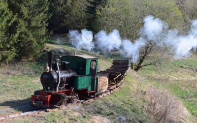 Vereine in Clausthal-Zellerfeld – Leuchttürme der Gesellschaft